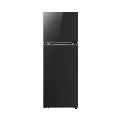 461 lít - Ngăn đá trên - Inverter LTB46BLG