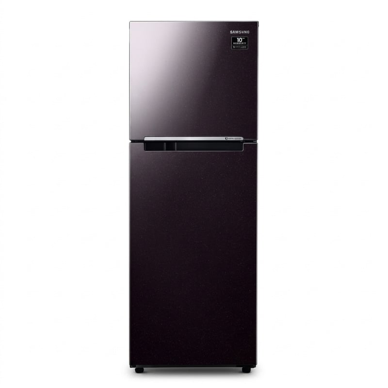Tủ Lạnh Samsung Inverter 216 lít Ngăn Đông Trên Màu Đen RT20HAR8DBU/SV